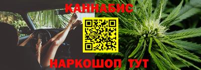 прущие грибы Кунгур