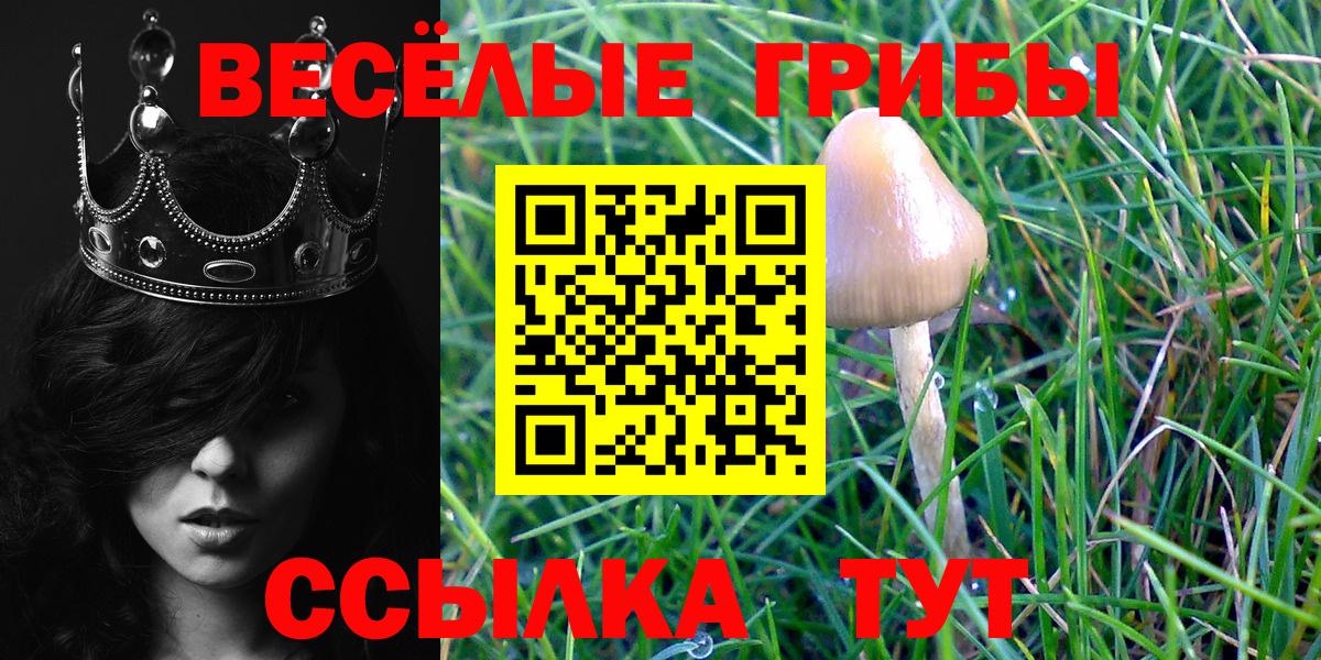 Псилоцибиновые грибы Cubensis  Вход с VPN  Верхний Уфалей 