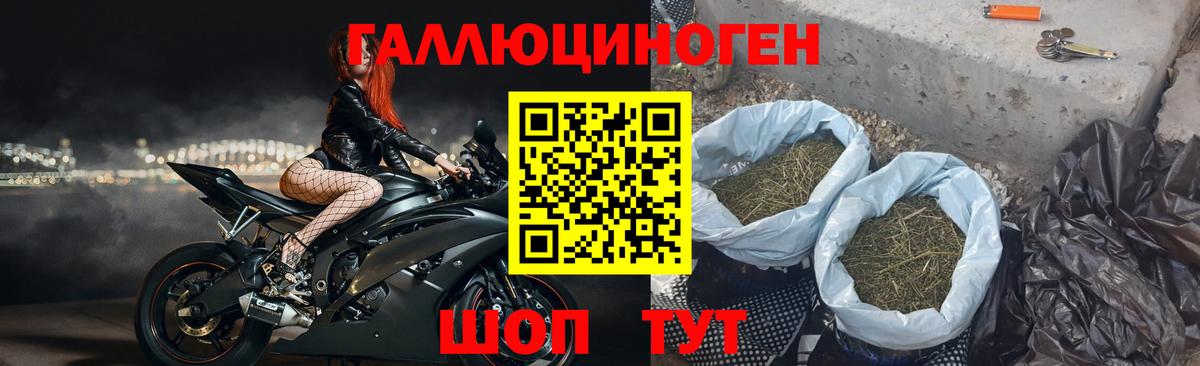 Галлюциногенные грибы прущие грибы Верхний Уфалей